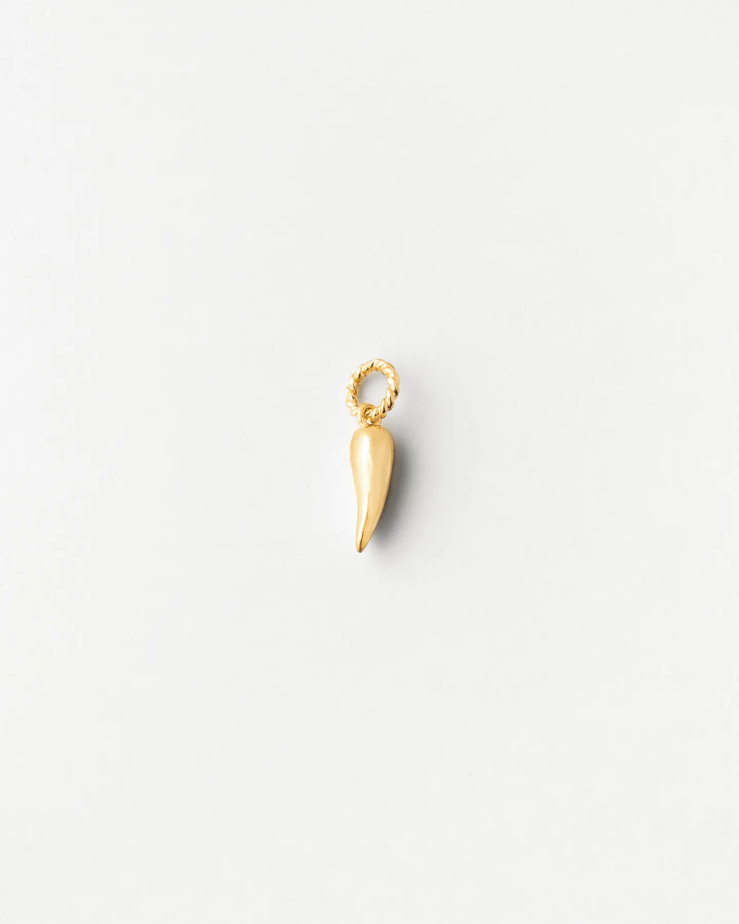 Chili Pepper Charm
